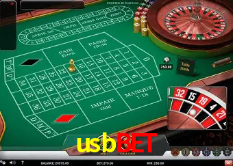 Roulette Table usbbet
